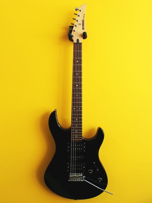 Yamaha ERG121
